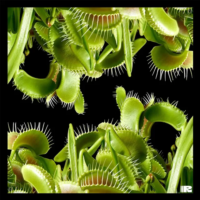 Plantae Carnivora by Oran Loyfer YAATRA