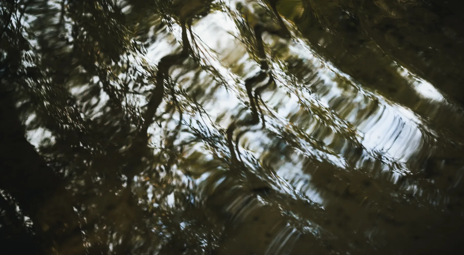 Light on rippling water
