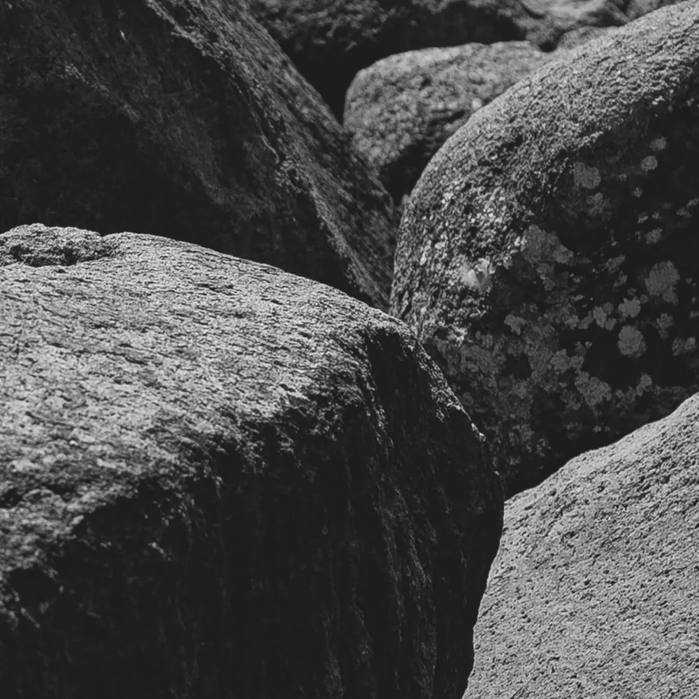 The Rock